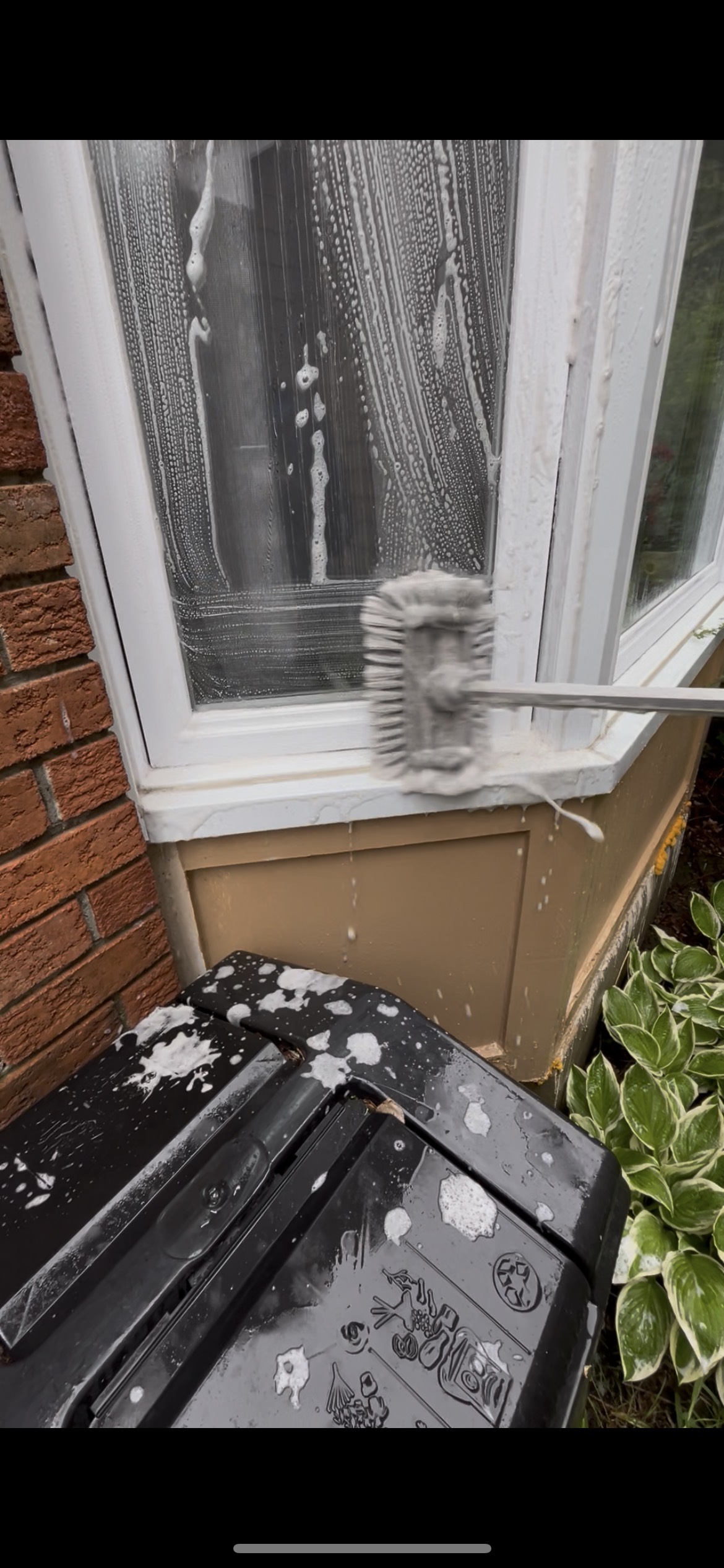 Window being scrubbed with soapy water and brush