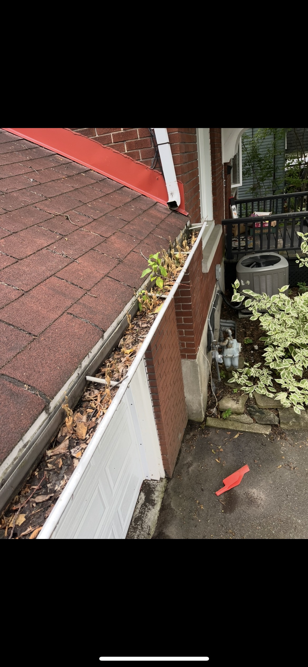 Clogged eavestrough with leaves and plants growing