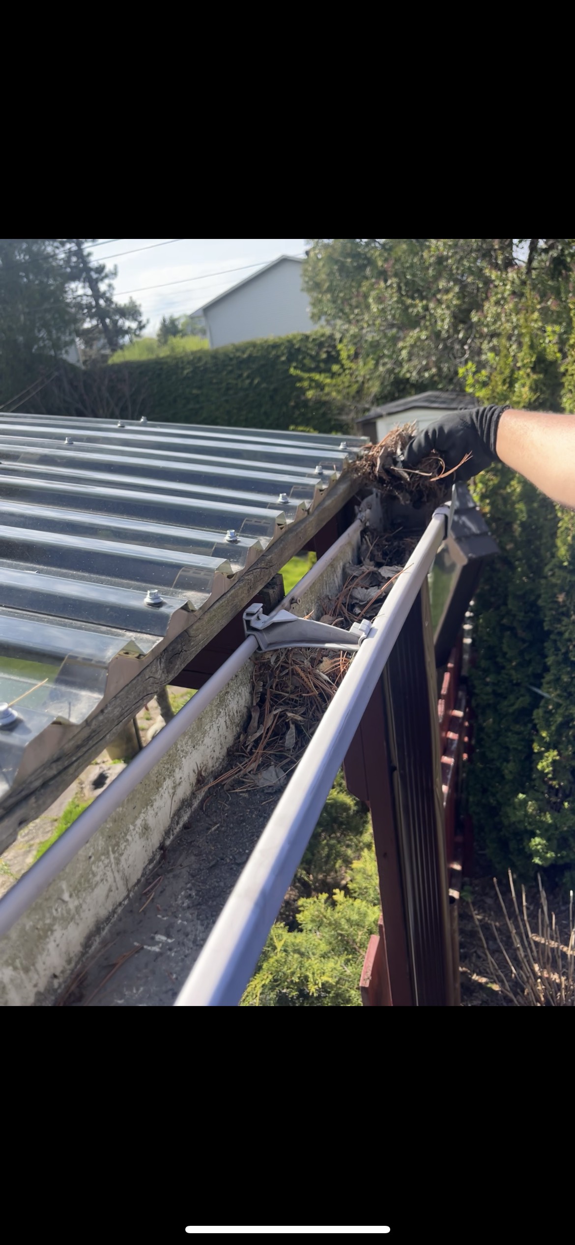 Hand pulling debris from clogged eavestrough during cleaning