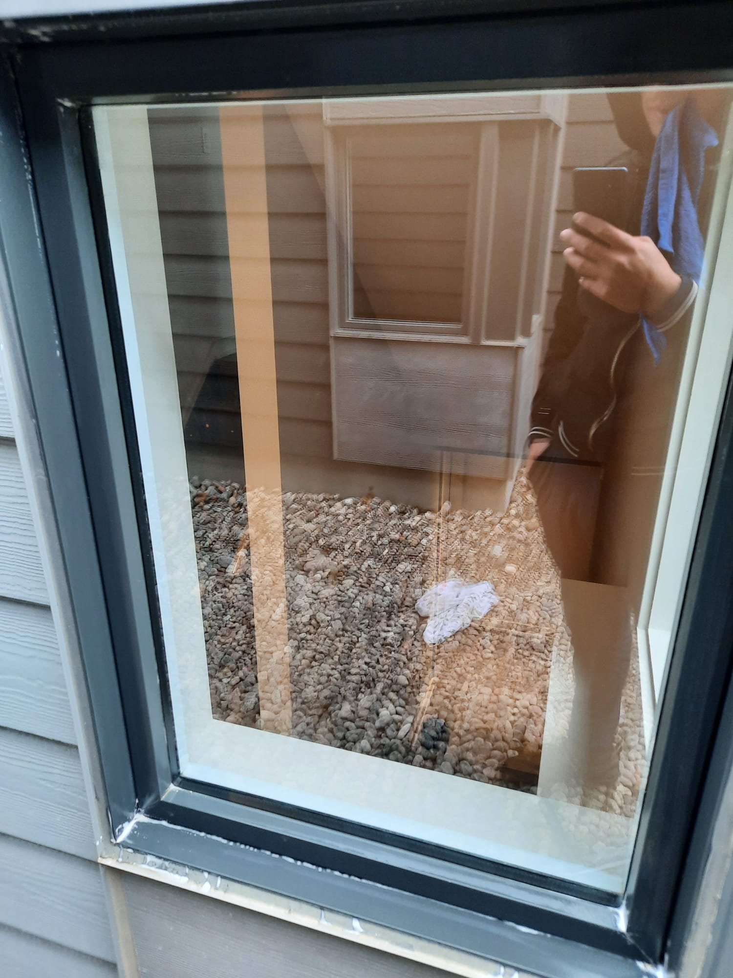 Crystal clear window after HomeShowers cleaning
